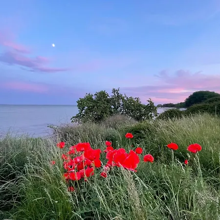 Seehund Feriendoppelhaus 