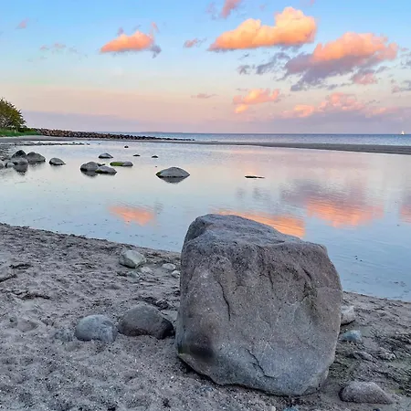 Dom wakacyjny Seehund Feriendoppelhaus 