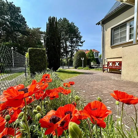 Seehund Feriendoppelhaus 