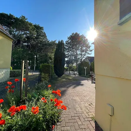 Dom wakacyjny Seehund Feriendoppelhaus 