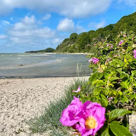 Seehund Feriendoppelhaus 