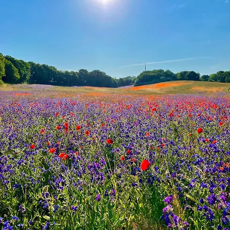 Seehund Feriendoppelhaus 