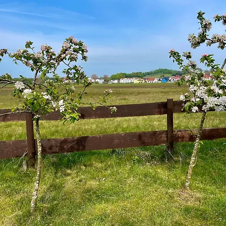 Seehund Feriendoppelhaus 