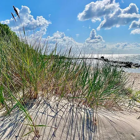 Seehund Feriendoppelhaus 