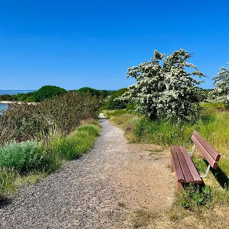 Seehund Feriendoppelhaus 