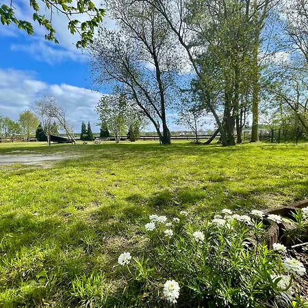 Seehund Feriendoppelhaus 