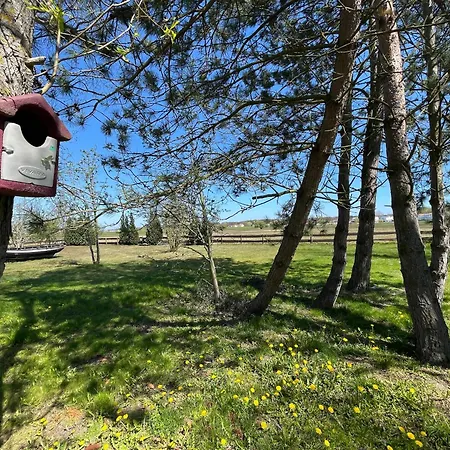 Hébergement de vacances Seehund Feriendoppelhaus 